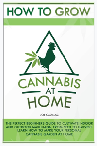 How to Grow Marijuana at Home