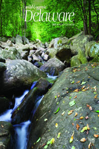 Delaware Wild & Scenic 2023 Square
