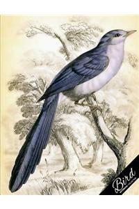 Bird Notebook Collection