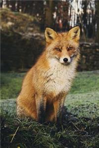 Say Hello to the Cute Fox Journal: 150 Page Lined Notebook/Diary