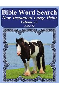 Bible Word Search New Testament Large Print Volume 13