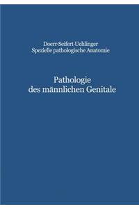 Pathologie Des Männlichen Genitale