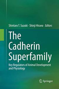 Cadherin Superfamily