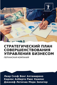 СТРАТЕГИЧЕСКИЙ ПЛАН СОВЕРШЕНСТВОВАНИЯ