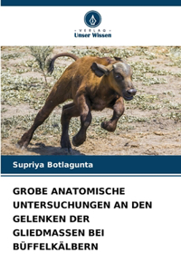Grobe Anatomische Untersuchungen an Den Gelenken Der Gliedmassen Bei Büffelkälbern