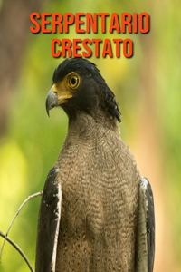 Serpentario crestato
