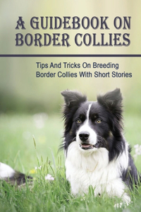A Guidebook On Border Collies