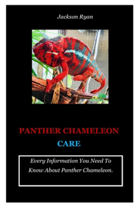 Panther Chameleon Care