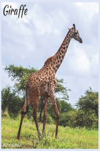 Giraffe 2021 Calendar