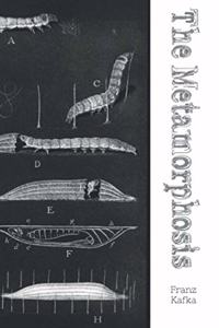 The Metamorphosis (Dyslexia-Friendly Edition)