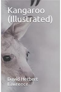 Kangaroo (Illustrated)