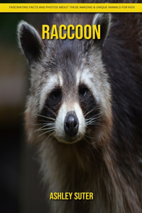 Raccoon