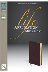 Life Application Study Bible-NASB