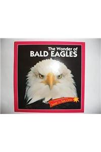 Read Soar Wonder Bald Eagles Lv3 99