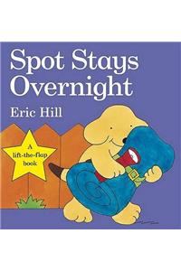 Spot Stays Overnight