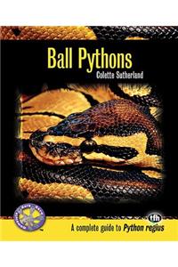 Ball Pythons