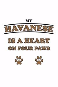 My Havanese is a heart on four paws