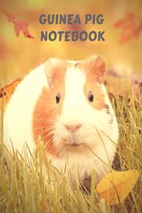 Guinea Pig Notebook