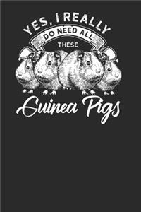 Yes I Really Do Need All These Guinea Pigs