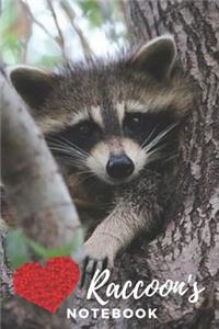 Raccoon Notebook