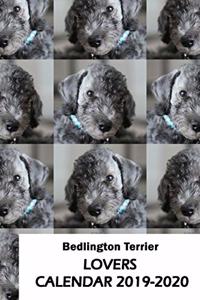 Bedlington Terrier Lovers Calendar 2019-2020