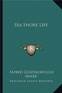 Sea Shore Life