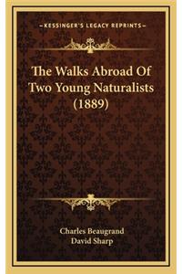 The Walks Abroad of Two Young Naturalists (1889)