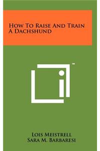 How To Raise And Train A Dachshund