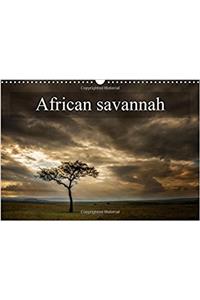 African Savannah 2017