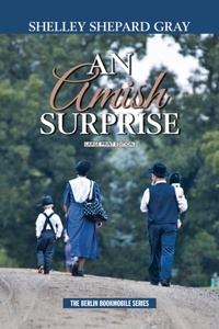 An Amish Surprise