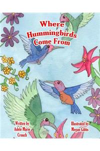 Where Hummingbirds Come From