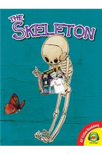 Skeleton