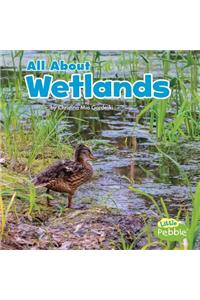 All about Wetlands
