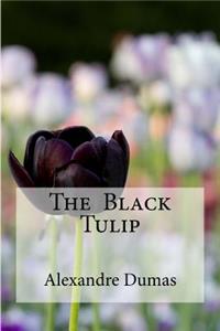 Black Tulip