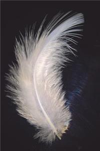 The Feather Journal