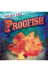 Frogfish