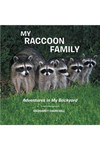 My Raccoon Family