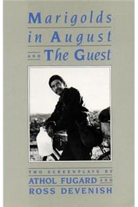 Marigolds in August /The Guest