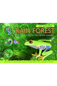 Rain Forest