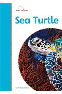 Sea Turtle