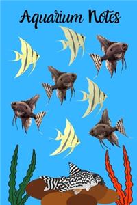 Aquarium Notes