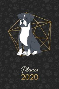 Planer 2020