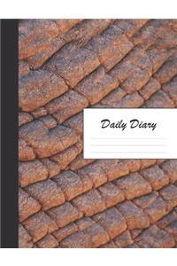 Daily Diary