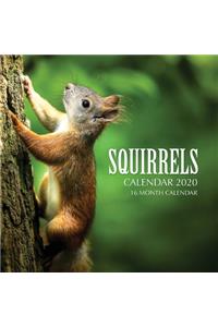 Squirrels Calendar 2020