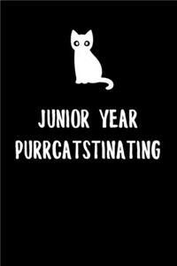 Junior Year Purrcatstinating