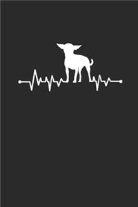 Chihuahua Heartbeat