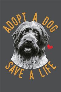 Adopt A Dog Save A Life