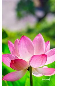 Lotus Flower Journal