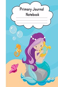 Primary Journal Notebook