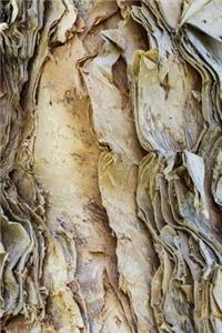 Eucalyptus Tree Bark Journal